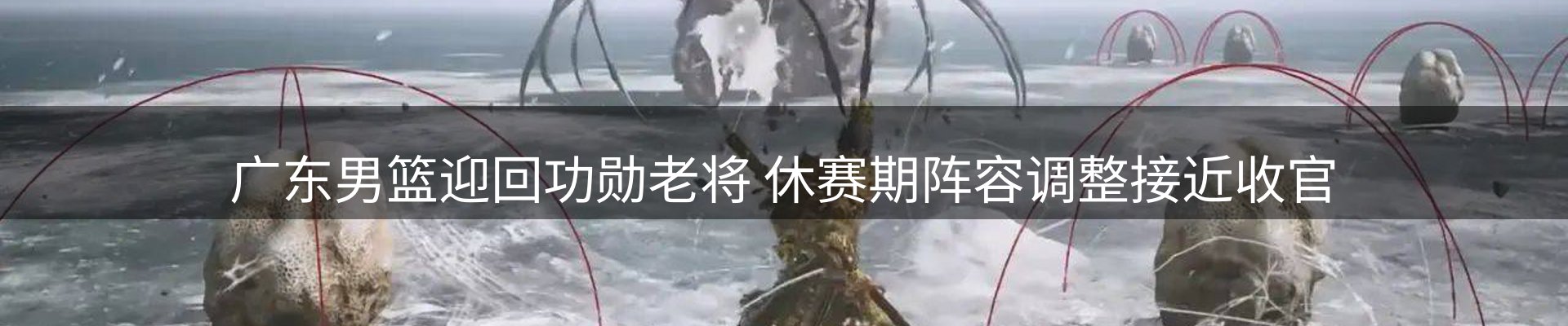 新闻资讯