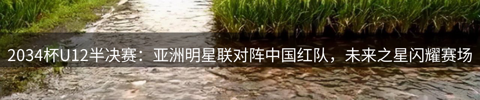 新闻资讯